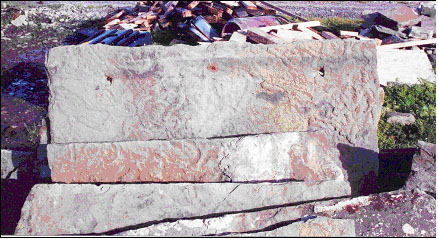 Mohr slate showing fossilised animal tracks